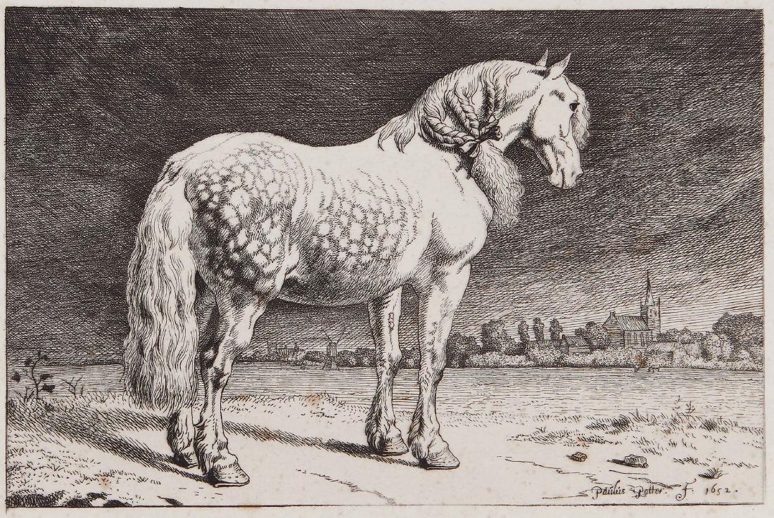 Potter (Paulus) After. - The Friesian Horse, (1 of 1)
