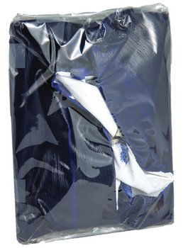 Angela De La Cruz special edition catalogue: Angela De La Cruz special edition catalogue catalogue in oil on canvas, wrapped in cellophane, numbered 20 of 30 and signed by the artist on the label, 9.5 x 7.5 in., 24.2 x 19 cm. ***Pr