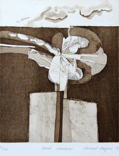 a small group of etchings: -. a small group of etchings,including Michael Chaplin, Bartolomeo dos Santos, John Rigsby and others, including 2 late 19th century views, 9 etchings and aquatints and a wood-engraving, this