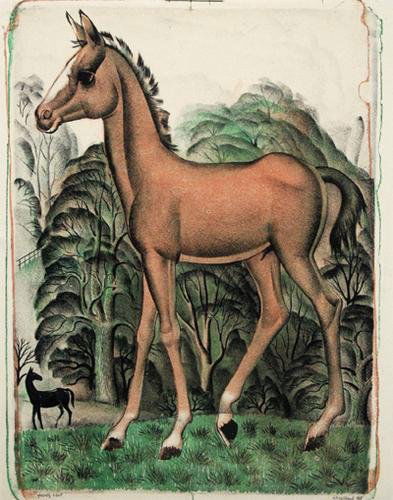 Colley (W.F.) Group of lithographs: Colley (William Frederick) Young Colt,lithograph, 390 x 300mm., signed and dated in pencil, lower right, titled lower left, a small section cut out of lower margin, taped at edges verso into m