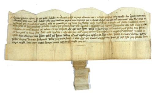 Devon.- Charter, grant by John Hokeley
