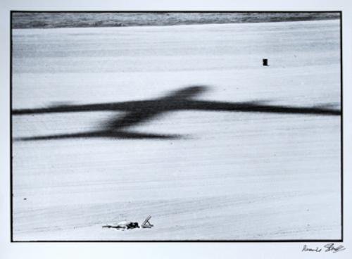 Dennis Stock (b.1928) southern california, 1968
