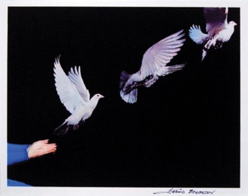 Dr. Harold Eugene Edgerton (1903 - 1990) multiple