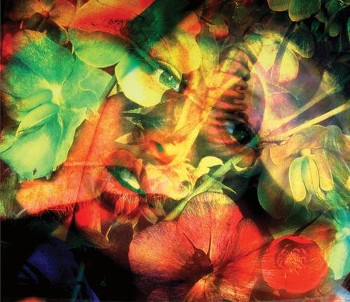 Mat Collishaw (b.1966) flesheater 4, 2000