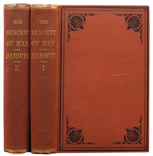 Darwin.Descent of Man,2vol.1st US, 1871