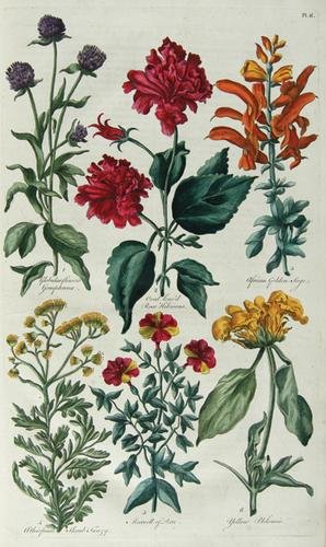 Hale.Eden:..Compleat Body..Gardening,60hc.pls