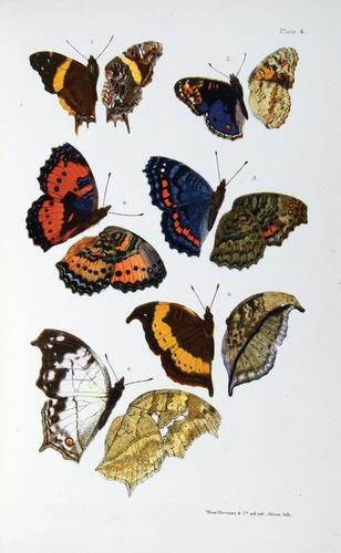 Trimen/Bowker.S.African Butterflies,3v,1887