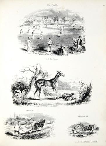 Wood (J. and R.M.) Specimens of Polytype Ornament