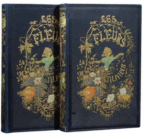 Grandville (J.-J.) Les Fleurs Animées