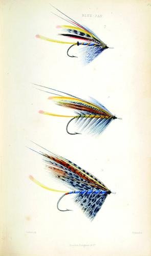 "Ephemera". The Book of the Salmon...