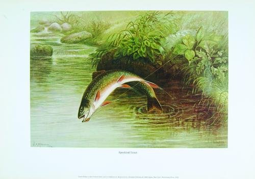 Goode(G.B.)Game Fishes of the United States