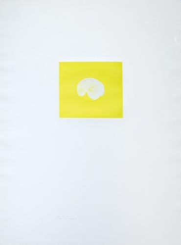 Louis Le Brocquy (b.1916) lemon