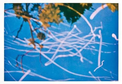 Gerhard Richter (b.1932) funken (b.25): Gerhard Richter (b.1932) funken (b.25)offset lithograph printed in colours, 1970, signed and dated in pencil, numbered VII/XXXV, there was also a numbered edition of 200, on smooth wove paper,