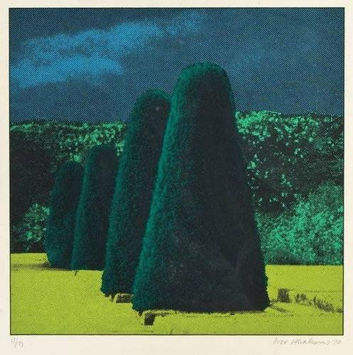 Ivor Abrahams (b.1935) garden suite. conifers: Ivor Abrahams (b.1935) garden suite. coniferssilkscreen printed in colours, 1970, signed and dated in pencil, numbered 17/75, on wove paper, with full margins, in good condition apart from occ