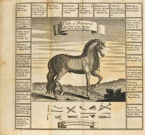 Gibson (William) Farriers New Guide: Gibson (William) The Farriers New Guide,2 parts in 1, second edition, engraved folding frontispiece and 7 plates, title printed in red and black, occasional spotting, particularly towards end,