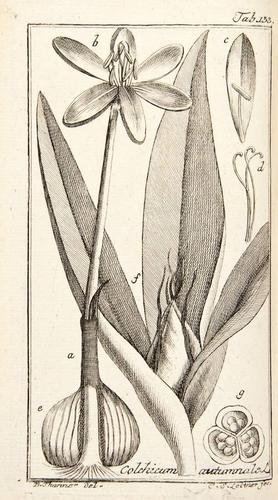 Zorn Icones Plantarum Medicinalium: Zorn (Johannes) Icones Plantarum Medicinalium,vol 1. only (of 6), engraved frontispiece, vignette title and 150 botanical plates, crisp and clean, contemporary calf, joints splitting, but hold