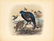 43: Millais.Game Birds and Shooting-Sketches