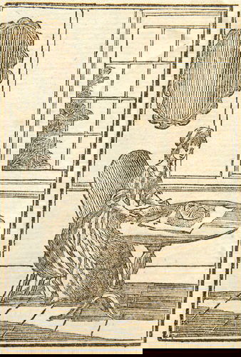 The Adventures of a Pincushion,: [Kilner (Mary Ann)] The Adventures of a Pincushion, designed chiefly for the Use of Young Ladies, woodcut frontispiece and 36 illustrations, original Dutch floral boards, 12mo, John Marshall, [