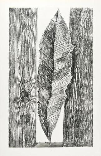 Ernst (Max) Histoire Naturelle,1926: Ernst (Max) Histoire Naturelle,number 146 of 306 copies signed by the artist, this one of 250 on vélin, 34 collotype plates after frottages, introduction by Jean Arp, loose as issued in contem