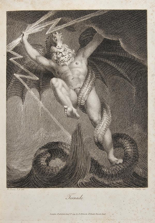 Darwin (Erasmus) The Botanic Garden: Darwin (Erasmus) The Botanic Garden,Darwin (Erasmus) The Botanic Garden, 2 parts in 1 vol., engraved frontispieces and plates, some folding, 2 by William Blake, some light foxing and offsettin