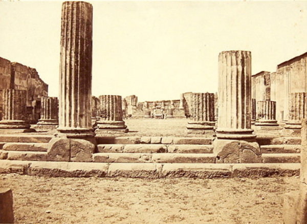 a group of nine albumen prints, each 195 x 240mm.