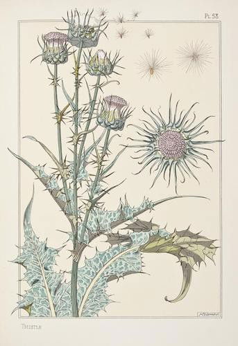 Grasset, Eugène Plants and their Application to Or: Grasset, Eugène Plants and their Application to Ornament,72 pochoir-coloured plates by Maurice P. Verneuil and others, title browned with tear to lower edge, short tear to lower margin of fina
