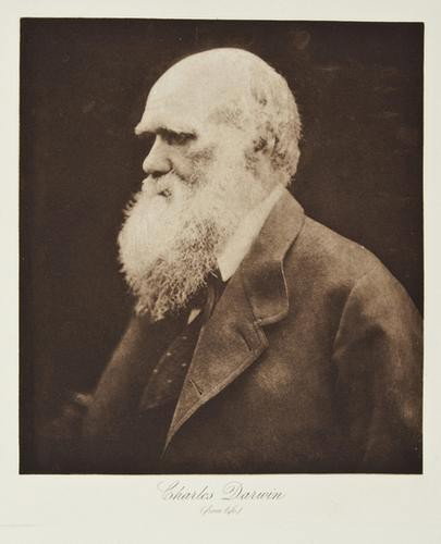 Julia Margaret Cameron.- Ritchie (Anne Thackeray): Julia Margaret Cameron.- Ritchie (Anne Thackeray) Alfred, Lord Tennyson and His Friends,A Series of 25 Portraits and Frontispiece in Photogravure from the Negatives of Mrs. Julia Margaret Came