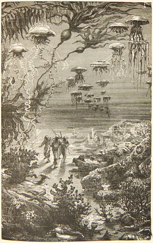 Verne (Jules) Twenty Thousand Leagues Under the S