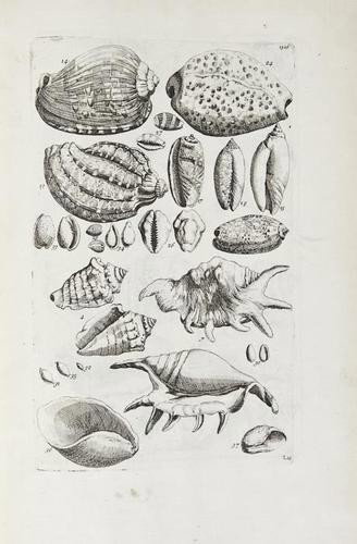 Barrelier (Jacques) Plantae per Galliam, Hispaniam: Barrelier (Jacques) Plantae per Galliam, Hispaniam et Italiam observatae...Opus Posthumum, edited by Antonio de Jussieu, engraved additional architectural title with plants and portrait medall