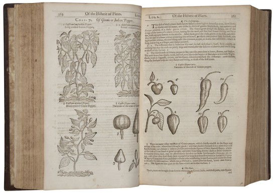 Gerard (John) The Herball or Generall Historie of: Gerard (John) The Herball or Generall Historie of Plantes,edited and enlarged by Thomas Johnson, second edition, fine engraved pictorial title, woodcut illustrations, title trimmed at outer ma