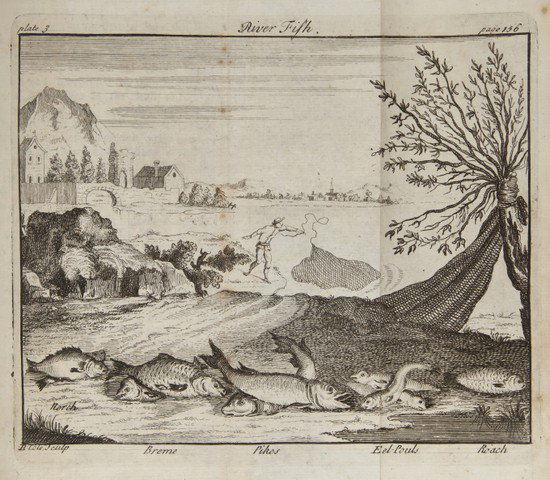 Williamson (John) The British Angler: Williamson (John) The British Angler,or a Pocket-Companion for Gentlemen-Fishers, first edition, engraved frontispiece and 3 folding plates, occasional spotting, ownership inscriptions to endp