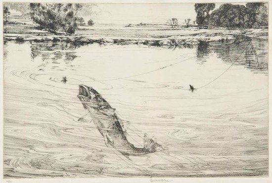 George Marples (1869-1939) Trout rising to take a: George Marples (1869-1939) Trout rising to take a fly and dropper,Etching Signed in pencil lower right Numbered 49/75 200 x 300mm. (7 3/4 x 11 3/4 in)