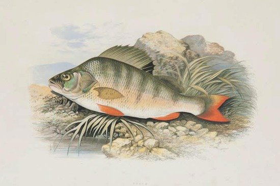 Attributed to James Burrell Smith (1822-1897) Angl: Attributed to James Burrell Smith (1822-1897) Anglers by a mountain stream,A pair, oil on canvas Each 46 x 35.5 cm (18 x 14 in) (2)