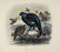 Millais (John Guille) Game Birds and Shooting-Sket