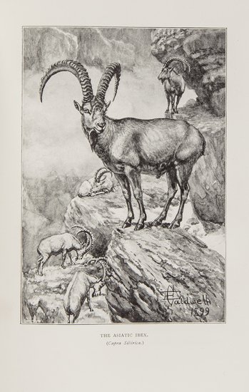 (E., Prince of San Donato) After Wild Sheep in the: Demidoff (E., Prince of San Donato) After Wild Sheep in the Altai and Mongolia, first edition, half-title, plates and illustrations, folding map at end, lower hinge repaired, original cloth, g