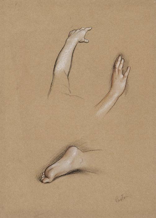 William McGregor Paxton (1869-1941) Study of hands: William McGregor Paxton (1869-1941) Study of hands and feet,coloured chalks on buff paper, signed Paxton lower right, 30.5 x 22cm (12 x 8 3/4 in), unframed.