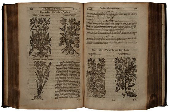 Gerard (John) The Herball or General Historie of P: Gerard (John) The Herball or General Historie of Plantes,Very much Enlarged and Amended by Thomas Johnson, Citizen and Apothecarye, engraved architectural title by John Payne featuring Theophr