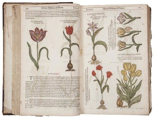 [Gerard (John)] [The Herball or Generall Historie: [Gerard (John)] [The Herball or Generall Historie of PlantesVery much Enlarged and Amended by Thomas Johnson, Citizen and Apothecarye], second edition (Johnson's first edition), lacking engrav