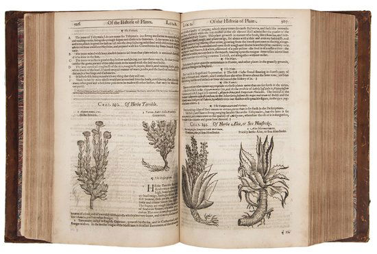 Gerard (John) The Herball or Generall Historie of: Gerard (John) The Herball or Generall Historie of Plantes,edited by Thomas Johnson, third edition, lacking initial and final blanks, with engraved title and numerous woodcut illustrations, eng