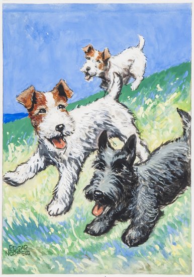 Norfield (Edgar) Again Rags: Norfield (Edgar) Again Rags,by Lewis Dutton, original artwork for 36 illustrations, 4 in gouache and watercolour on art board, and 32 in pen and ink on paper, 300 x 220mm., all signed, also i