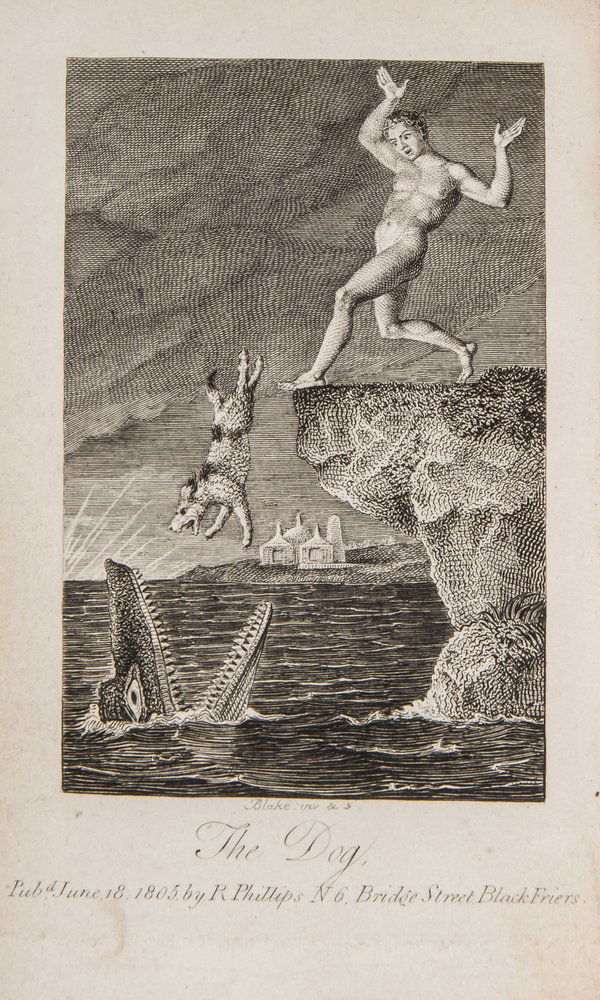 Hayley (William) Ballads Founded on Anecdotes rela: Hayley (William) Ballads Founded on Anecdotes relating to Animals,first edition, half-title, 5 engraved plates by William Blake, small brown stain to fore-edge just encroaching into margin of