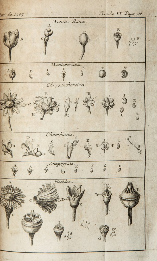 Académie Royale des Sciences.- Histoire de L'Acade: Académie Royale des Sciences.- Histoire de L'Academie Royale des Sciences, avec les Memoires de Mathématique & de Physique,12 vol., [second editions], engraved vignette titles, 205 folding eng