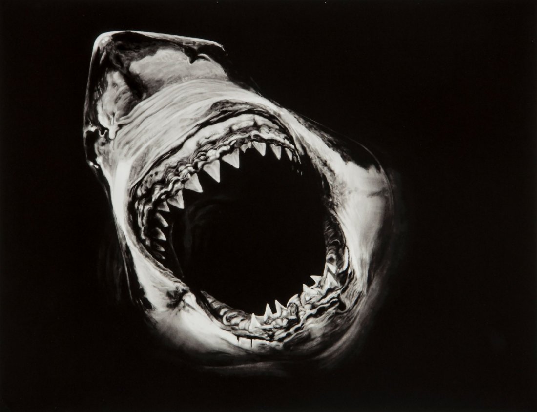 Robert Longo (b.1953) - Essentials: the laperello of seven pigment prints (one with colours), 2009, signed, titled and dated on an archival lable verso, numbered 46/75, on 308g HahnemÃ¼hle Rag paper, each 315 x 245 mm (12 3/8 x 9 5/8