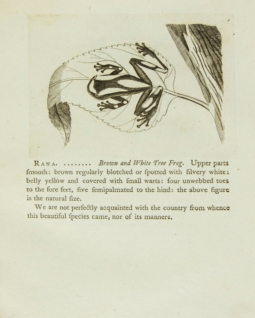 Walcott (John) - The Figures, Description, and History,: first edition , 60 fine half-page engraved illustrations, errata slip at end, some light water-staining, mostly marginal, occasional light foxing, contemporary calf, worn, covers detached, lacking bac