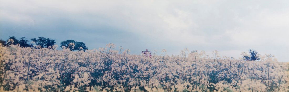 Nick Waplington (b.1970) - Panorama - Rape Field, 1993: Chromogenic print, signed, dated and editioned 8/20 in black ink verso, 33 x 101.5cm (13 x 40in) This lot is offered with NO RESERVE IMPORTANT: This lot is sold subject to Artists Resale Rights, detai
