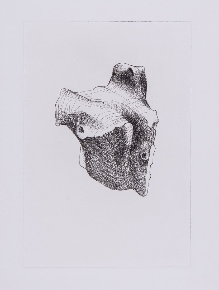 Henry Moore (1898-1986) - Stone IV (c.464): two etchings the second with aquatint printed in colours, 1977, an impression from the first state of Plate I and an impression from the first state of the third plate, with the printer's notes in the