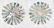 Akrell (C.) - Preserved gores for a terrestrial globe,