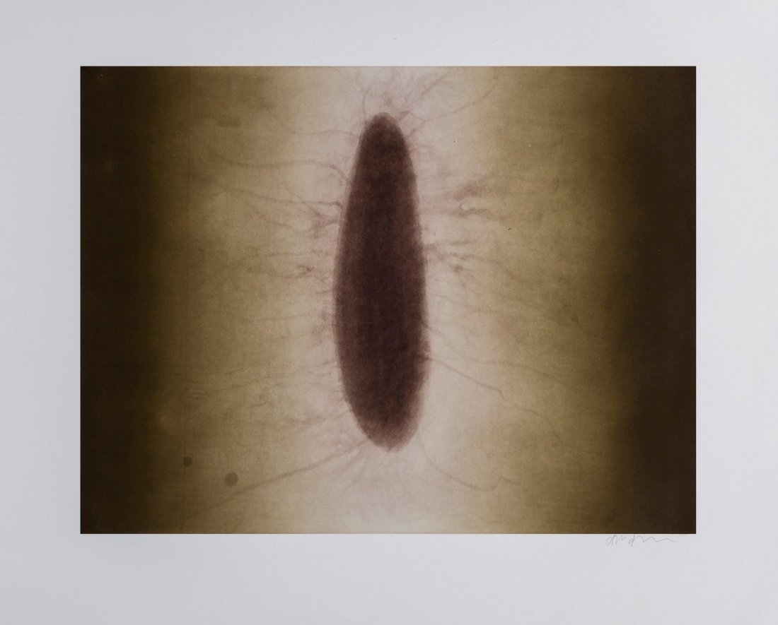 Anish Kapoor (b.1954) - Untitled 02 from, 12 Etchings: etching with aquatint printed in colours, 2007, signed in pencil, numbered 15/40 in pencil verso, published by Charles Booth-Clibborn under his imprint The Paragon Press, London, on Somerset wove pape