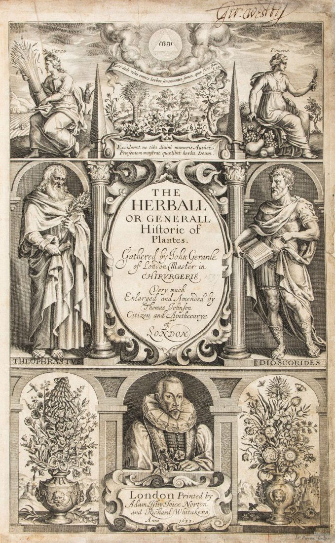 Gerard (John) - The Herball or Generall Historie of: edited and enlarged by Thomas Johnson, second edition, Johnson's first edition , engraved pictorial title, woodcut botanical illustrations thorughout, first and last ff. blank, title with small sectio