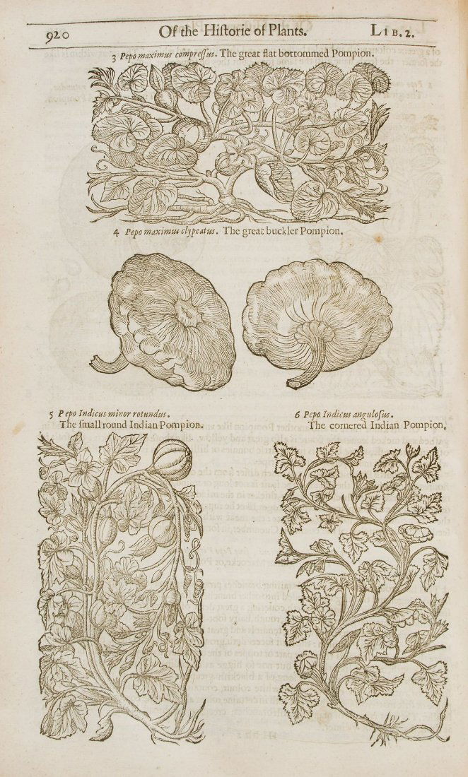 Gerard (John) - The Herball or General Historie of: Very much Enlarged and Amended by Thomas Johnson , second edition, first Johnson edition , title within fine engraved architectural border by John Payne, depicting Theophrastus, Dioscorides, Ceres, Po